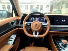 2025 Hongqi H9 2.0T, чёрный — фото 11