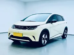 2023 BYD Dolphin 420km Fashion — фото 1