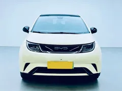 2023 BYD Dolphin 420km Fashion — фото 2