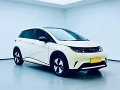 2023 BYD Dolphin 420km Fashion — фото 3