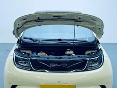 2023 BYD Dolphin 420km Fashion — фото 10