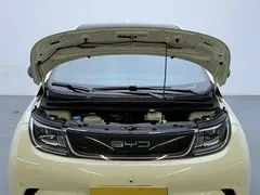 2023 BYD Dolphin 420km Fashion — фото 15