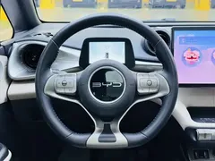 2023 BYD Dolphin 420km Fashion — фото 19