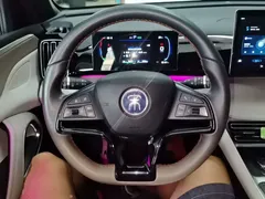 2024 BYD Song Pro DM-i 71KM — фото 11