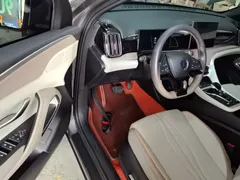 2024 BYD Song Pro DM-i 71KM — фото 16