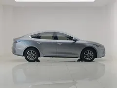 2024 BYD Destroyer 05 DM-i 55KM — фото 8