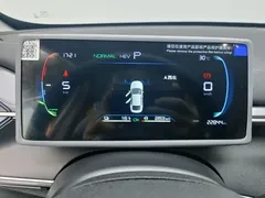 2024 BYD Destroyer 05 DM-i 55KM — фото 15
