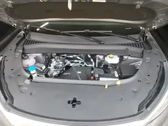 2024 BYD Yuan PLUS Honor 430km Exceed — фото 20