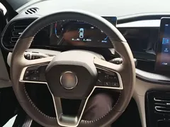 2024 BYD Qin PLUS DM-i 55KM — фото 11