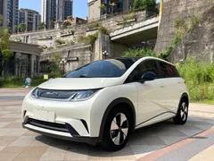 2023 BYD Dolphin 420km Freedom — фото 1