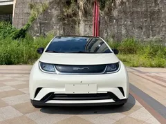 2023 BYD Dolphin 420km Freedom — фото 3