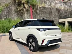 2023 BYD Dolphin 420km Freedom — фото 9