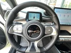2023 BYD Dolphin 420km Freedom — фото 10