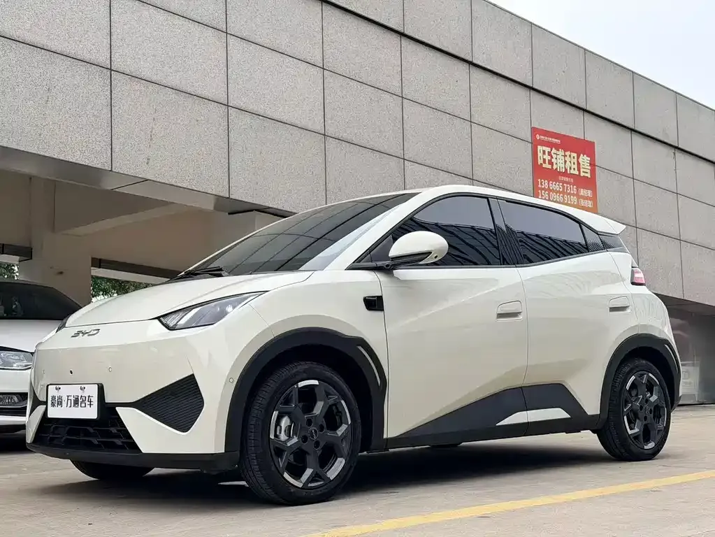 2025 BYD Seagull Smart Driving 305km Freedom