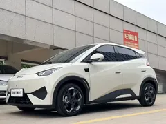 2025 BYD Seagull Smart Driving 305km Freedom, белый — фото 1
