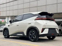 2025 BYD Seagull Smart Driving 305km Freedom, белый — фото 4