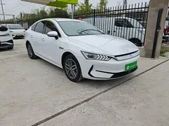 2024 BYD Qin PLUS EV 420km Leading, белый — фото 4