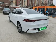 2024 BYD Qin PLUS EV 420km Leading, белый — фото 5