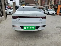2024 BYD Qin PLUS EV 420km Leading, белый — фото 6