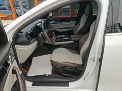 2024 BYD Qin PLUS EV 420km Leading, белый — фото 15