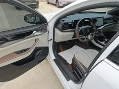 2024 BYD Qin PLUS EV 420km Leading, белый — фото 16
