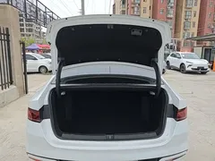 2024 BYD Qin PLUS EV 420km Leading, белый — фото 19
