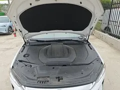 2024 BYD Qin PLUS EV 420km Leading, белый — фото 20