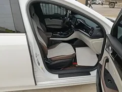 2024 BYD Qin PLUS EV 420km Leading, белый — фото 25
