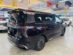 2024 Hongqi HQ9 2.0T — фото 23