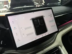 2024 BYD Song PLUS DM-i 110km PLUS — фото 13