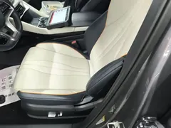 2024 BYD Song PLUS DM-i 110km PLUS — фото 15
