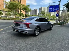 2023 Hongqi H5 2.0T — фото 14