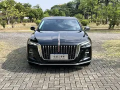 2025 Hongqi H5 2.0T, чёрный — фото 2
