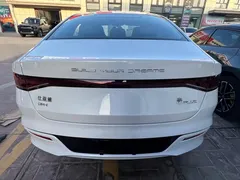 2023 BYD Qin PLUS DM-i 120KM, белый — фото 8