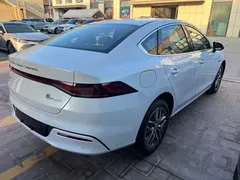 2023 BYD Qin PLUS DM-i 120KM, белый — фото 9