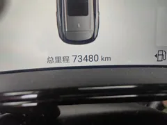 2024 BYD Tang DM-i 112KM — фото 8