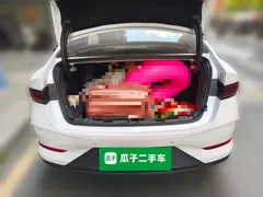 2025 BYD Qin PLUS DM-i 55KM, белый — фото 19