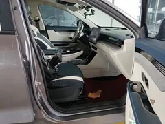 2022 Jetour Dashing 1.5T DHT 01 — фото 25