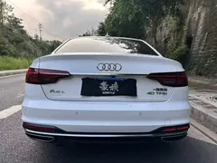 2020 Audi A4L 40 TFSI Fashion, белый — фото 13