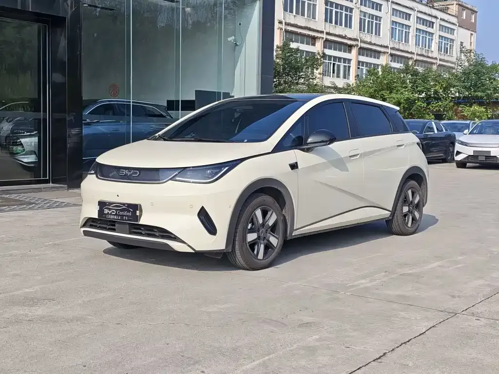 2025 BYD Dolphin Smart Driving 410km Fashion