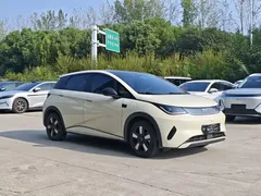 2025 BYD Dolphin Smart Driving 410km Fashion, белый — фото 3