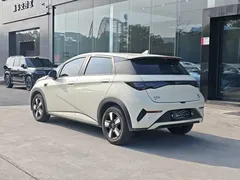 2025 BYD Dolphin Smart Driving 410km Fashion, белый — фото 9