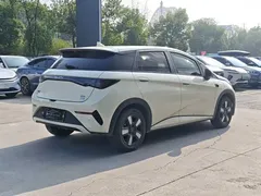 2025 BYD Dolphin Smart Driving 410km Fashion, белый — фото 11