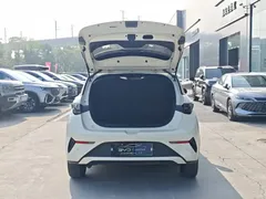 2025 BYD Dolphin Smart Driving 410km Fashion, белый — фото 12