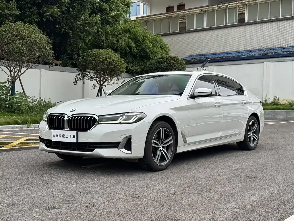 2021 BMW 5 Series 530Li Luxury Package