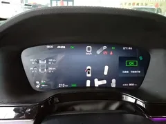 2025 BYD Tang DM-i 175KM — фото 12