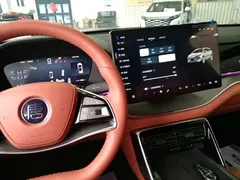 2025 BYD Tang DM-i 175KM — фото 14