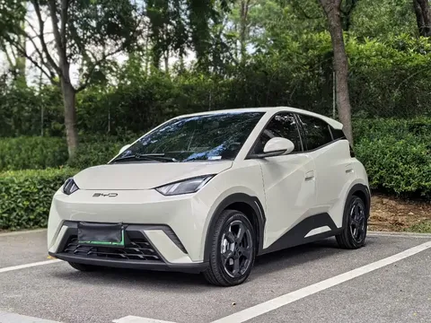 2024 BYD Seagull EV 305km Honor Freedom