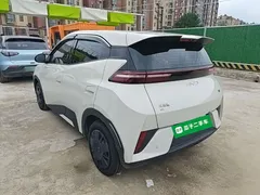 2025 BYD Seagull 305km Vitality — фото 5