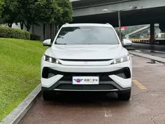 2026 BYD Song Pro DM-i 220KM, белый — фото 2